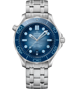 Omega SEAMASTER DIVER 300M 42 mm, steel on steel 210.30.42.20.03.003