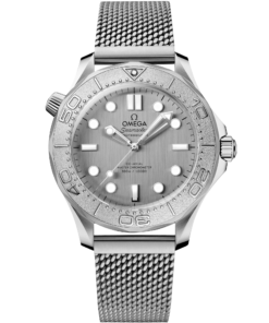 Omega SEAMASTER DIVER 300M 42 mm, steel on steel 210.30.42.20.06.002