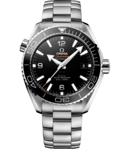 Omega SEAMASTER PLANET OCEAN 600M 43.5 mm, steel on steel 215.30.44.21.01.001