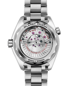 Alternative view of Omega SEAMASTER PLANET OCEAN 600M 43.5 mm, titanium on titanium 215.90.44.21.99.001