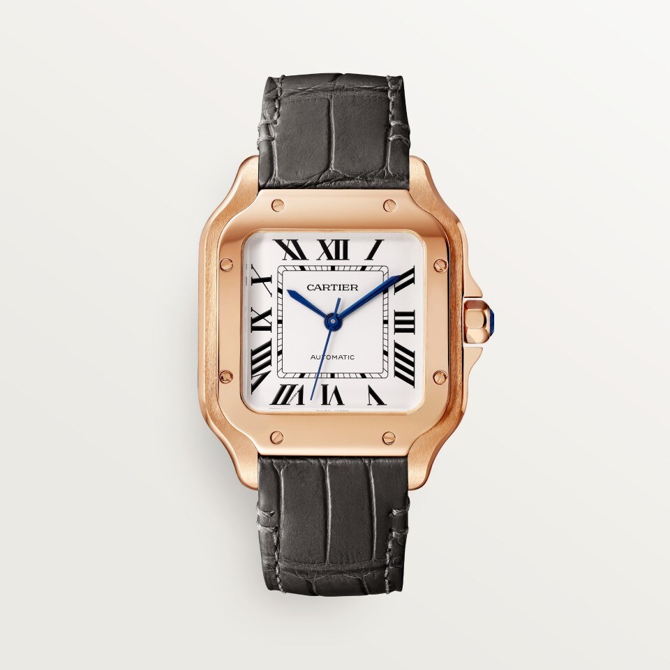 SANTOS DE CARTIER WATCH
