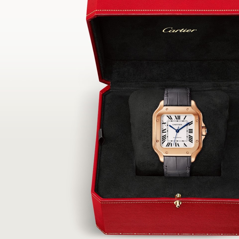 SANTOS DE CARTIER WATCH - Image 6