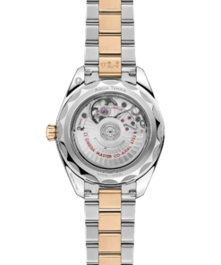 Alternative view of Omega SEAMASTER AQUA TERRA 150M 30 mm, steel ‑ Moonshine™ gold on steel ‑ Moonshine™ gold 220.20.30.20.02.001