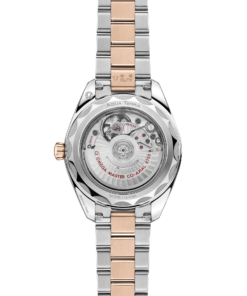 Alternative view of Omega SEAMASTER AQUA TERRA 150M 30 mm, steel ‑ Sedna™ gold on steel ‑ Sedna™ gold 220.20.30.20.10.002