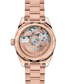 Alternative view of Omega SEAMASTER AQUA TERRA 150M 34 mm, Sedna™ gold on Sedna™ gold 220.55.34.20.99.007