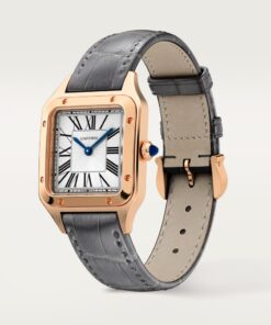 Alternative view of SANTOS-DUMONT WATCH