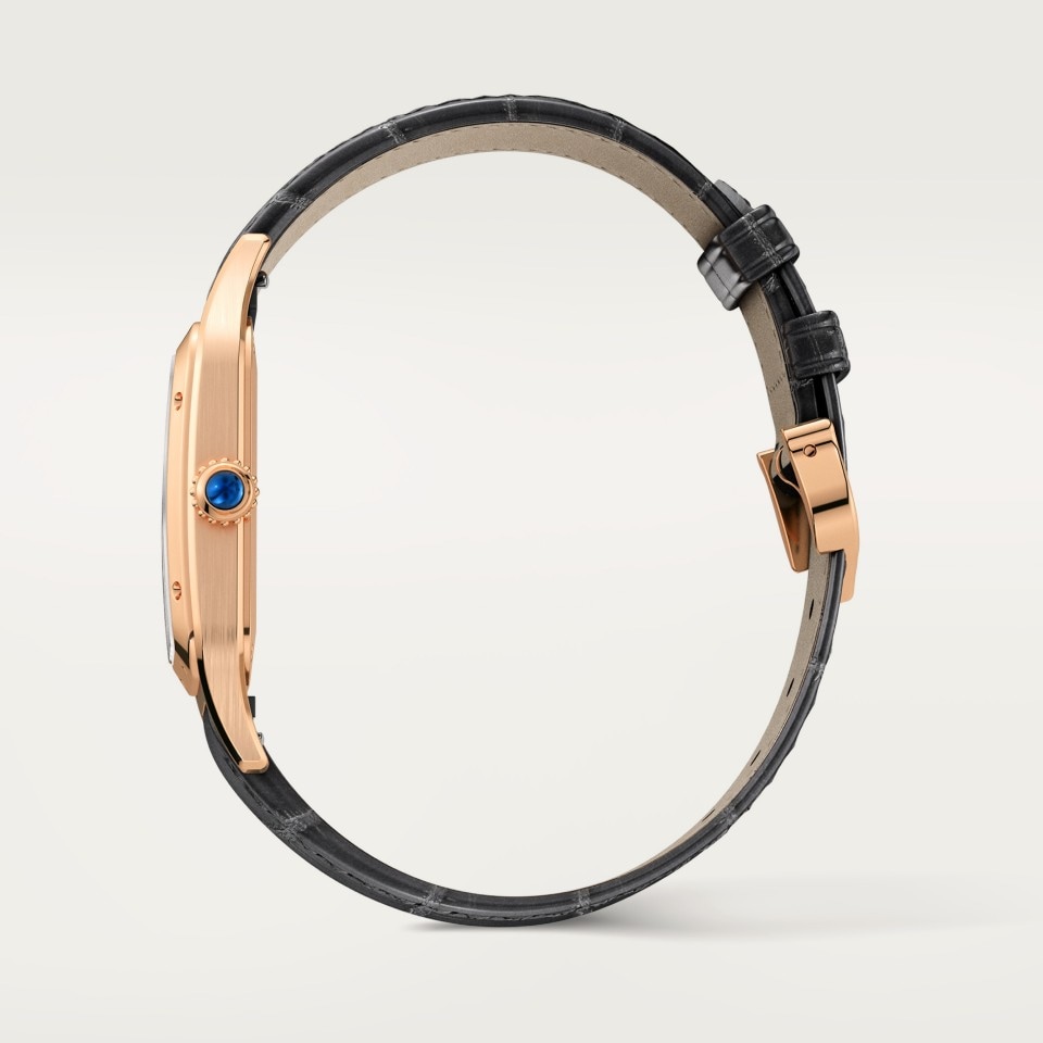 SANTOS-DUMONT WATCH - Image 4