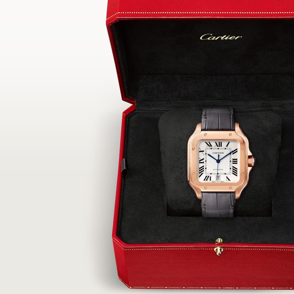 SANTOS DE CARTIER WATCH - Image 7
