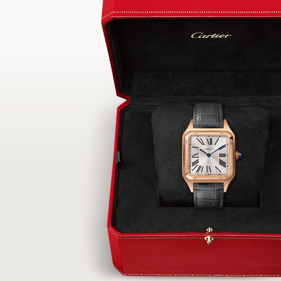 SANTOS-DUMONT WATCH - Image 6