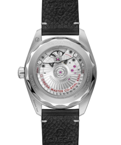 Alternative view of Omega SEAMASTER RAILMASTER 38 mm, steel on leather strap 235.12.38.20.06.001