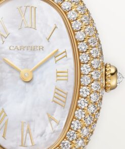 Alternative view of BAIGNOIRE WATCH
