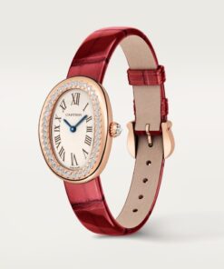 Alternative view of BAIGNOIRE WATCH
