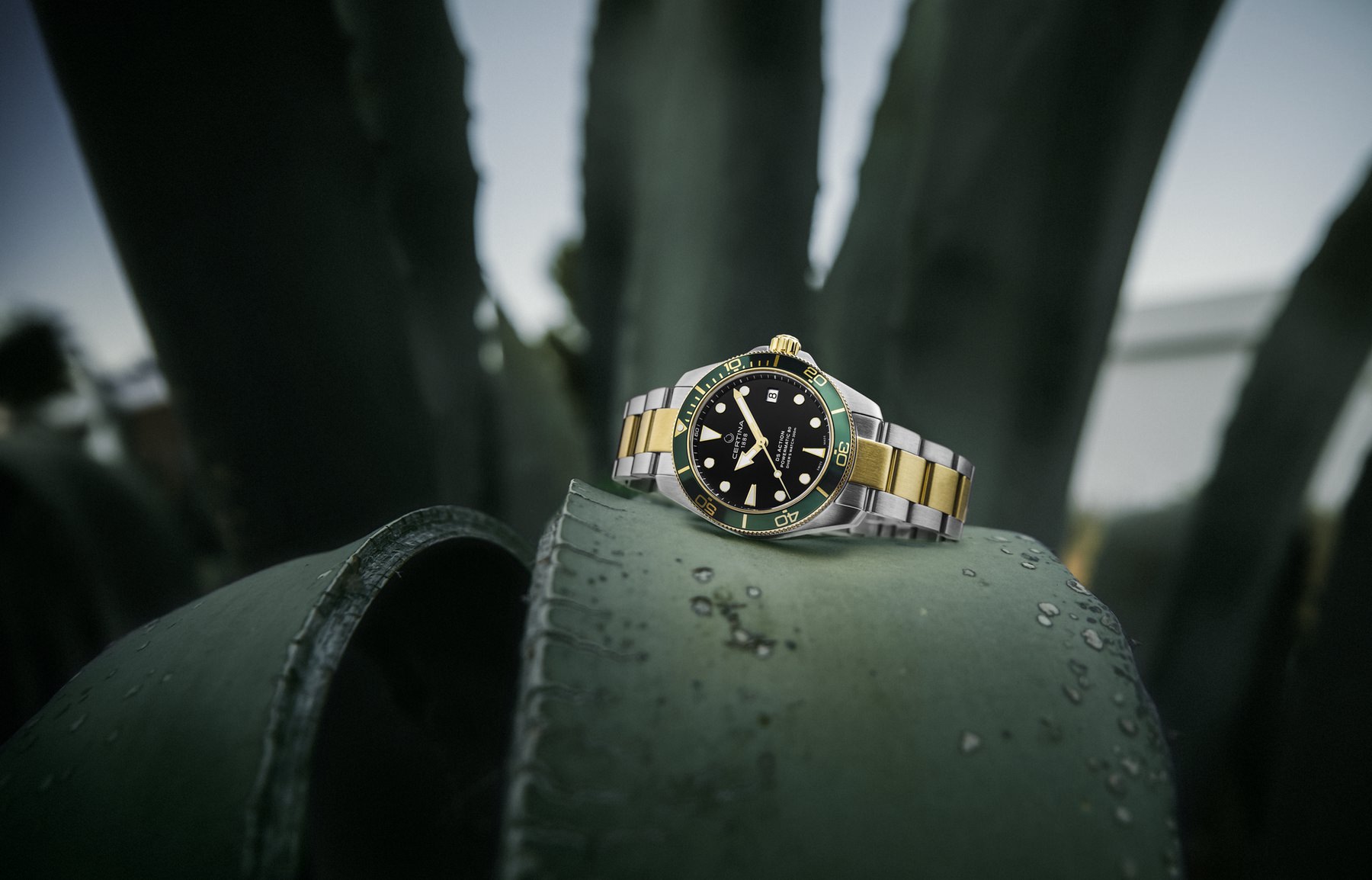 DS Action Diver - Image 2