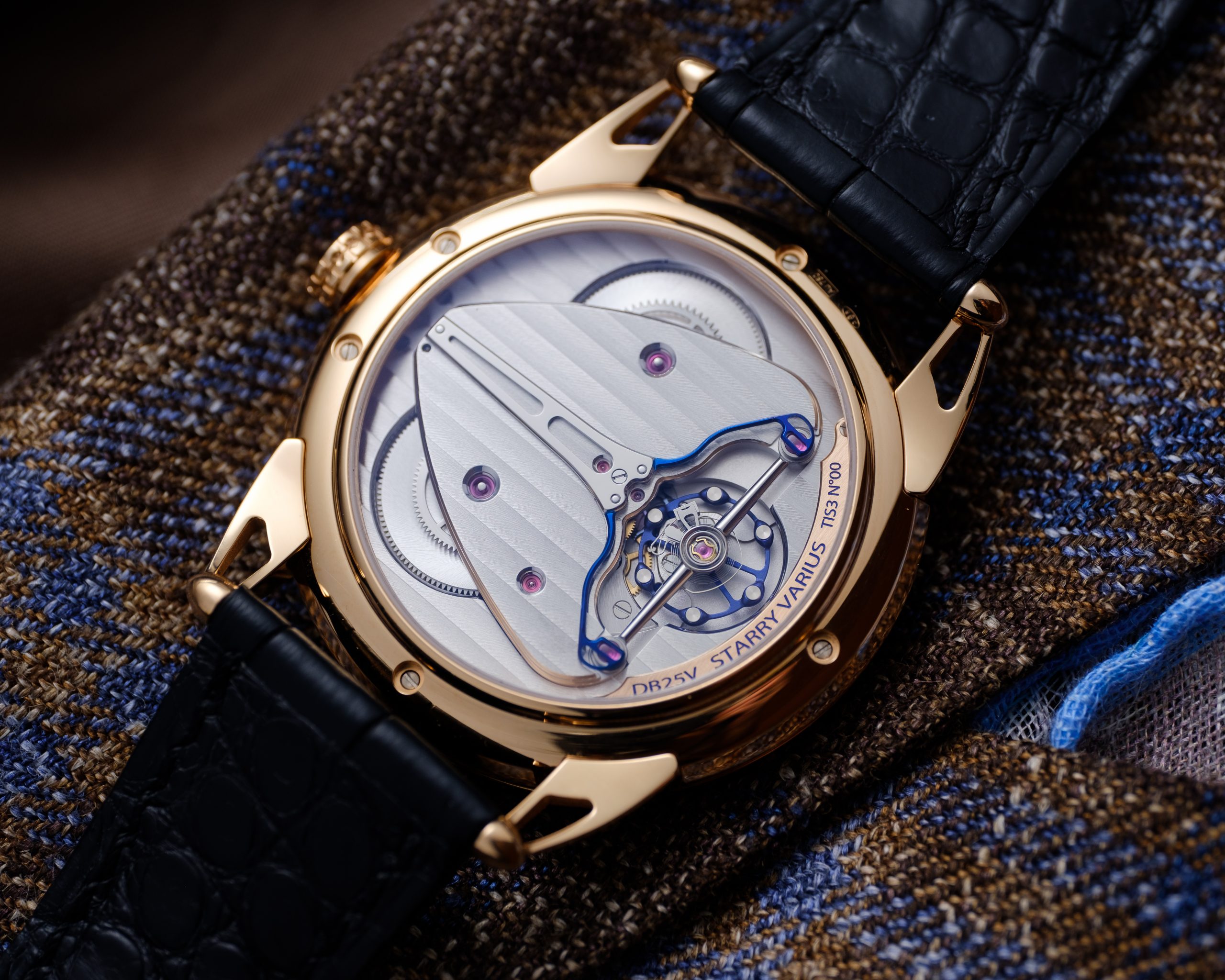 DB25 Starry Varius - Image 3