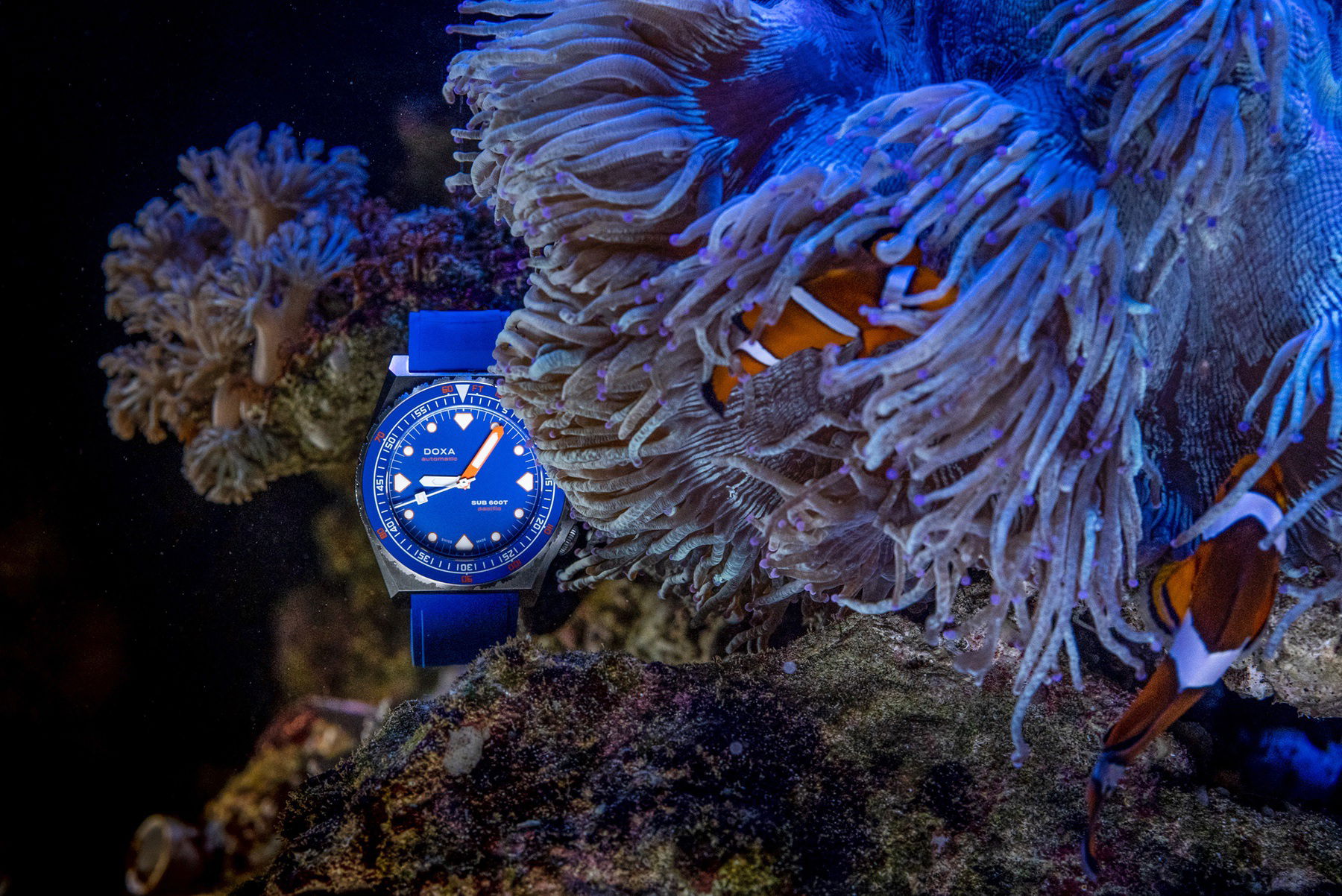 SUB 600T “Pacific” Limited Edition - Image 2