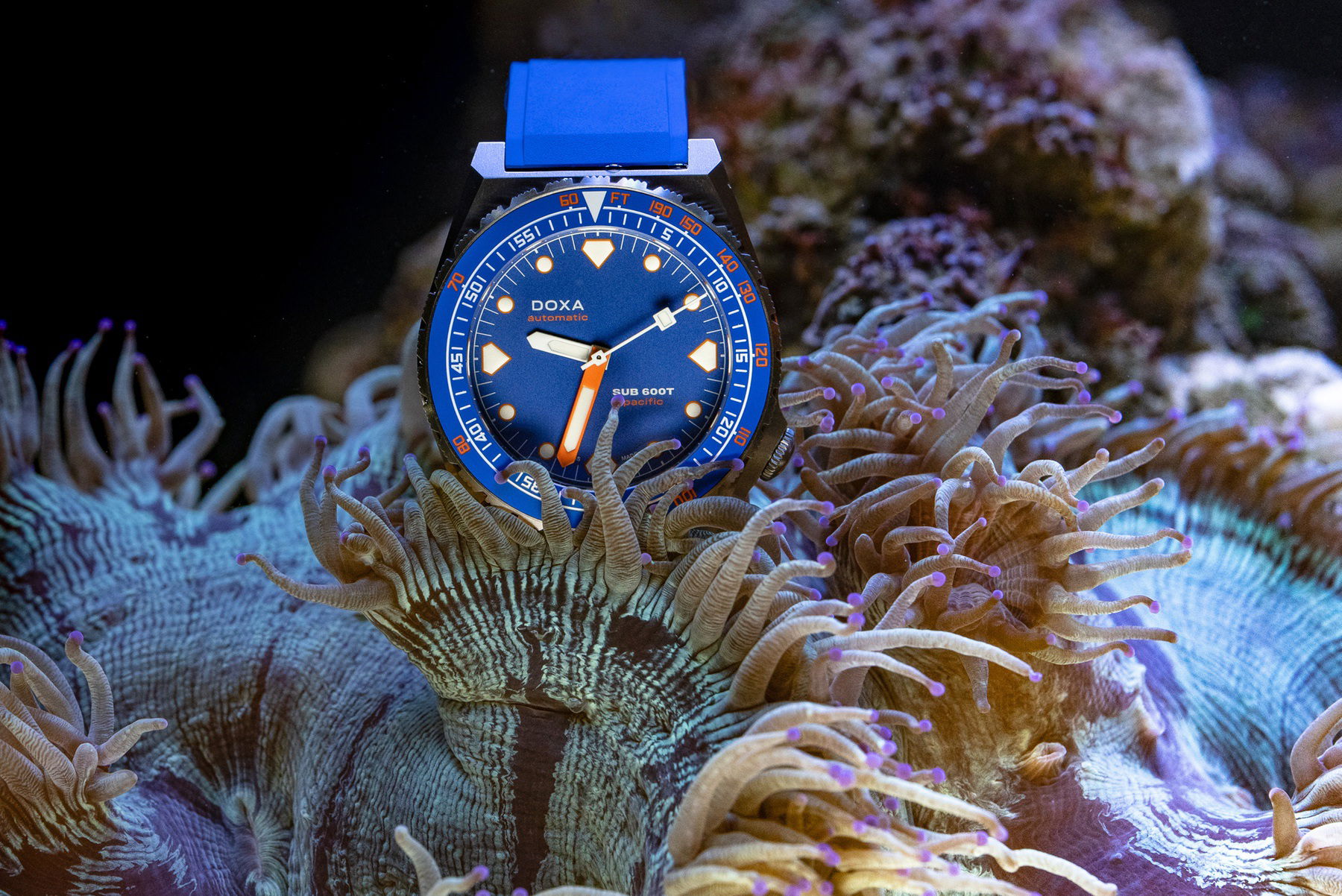 SUB 600T “Pacific” Limited Edition - Image 9