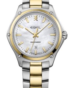 Discovery