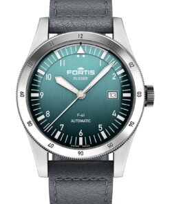 Flieger F-41 Petrol