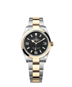 Rolex Explorer 36 36 mm Oystersteel and yellow gold 124273-0001