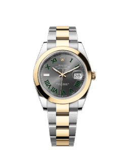 Rolex Datejust 41 41 mm Oystersteel and yellow gold 126303-0019