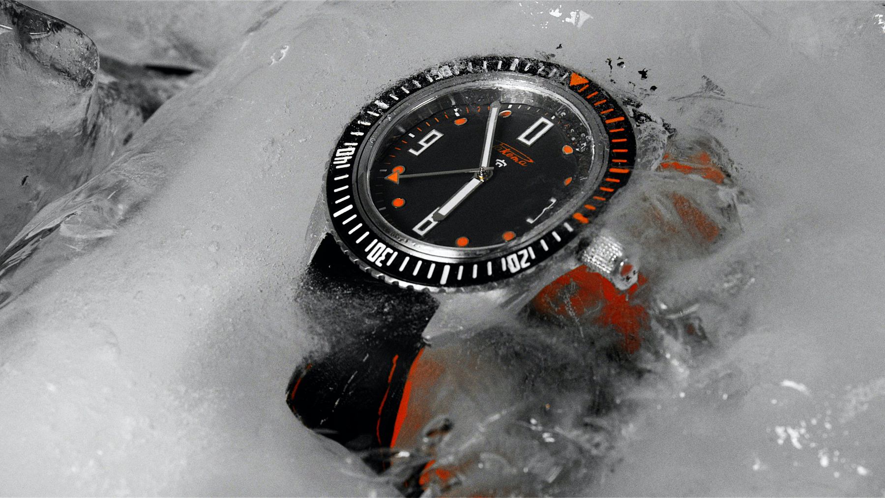 “Amphibia” 0252 - Image 2
