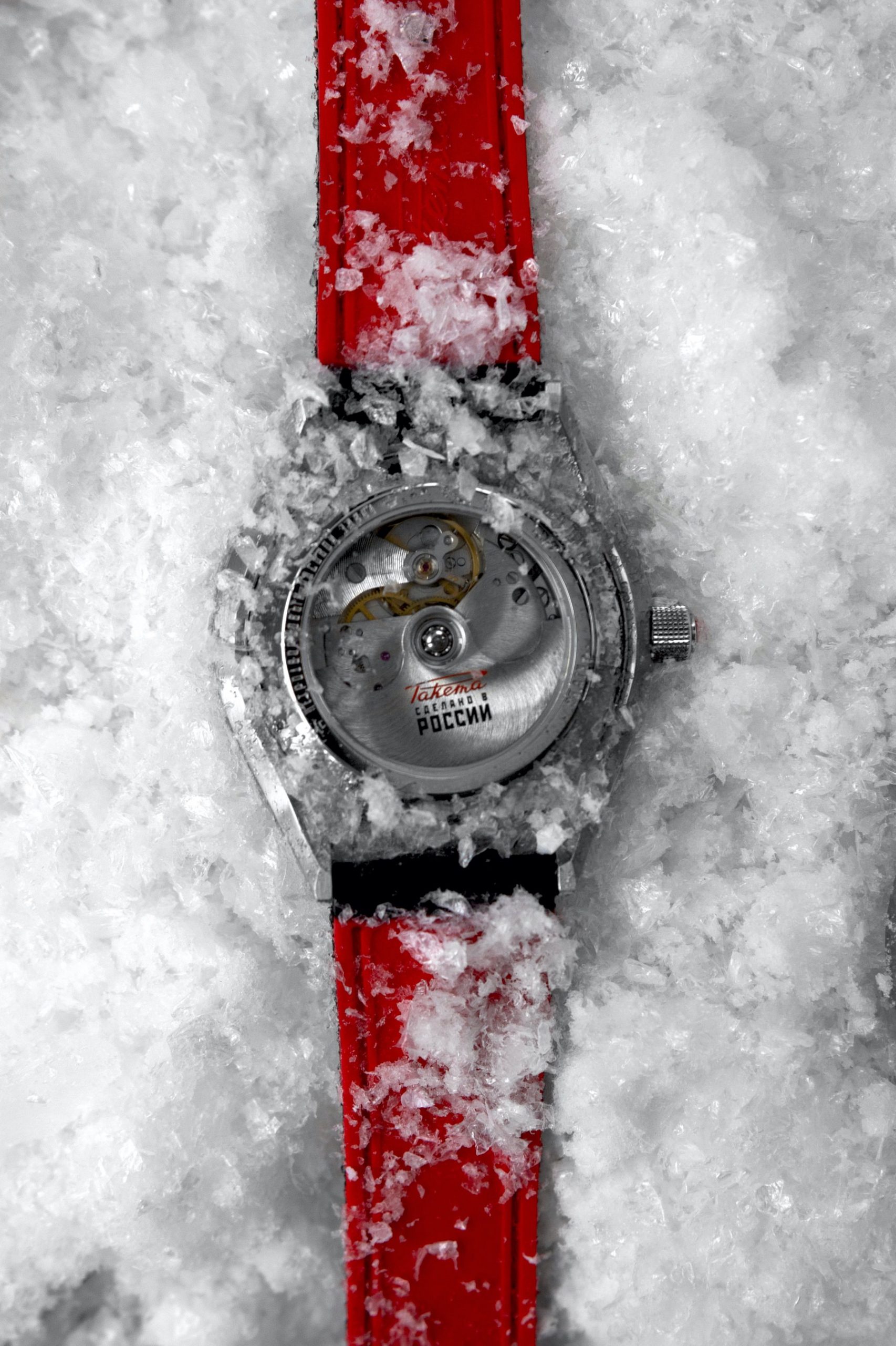“Polar” 0258 - Image 9