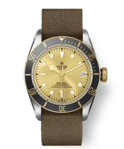 BLACK BAY S&G M79733N-0006