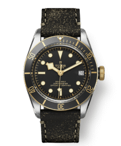 BLACK BAY S&G M79733N-0007